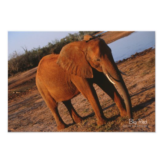 Big Red Foto Afdruk (Voorkant)