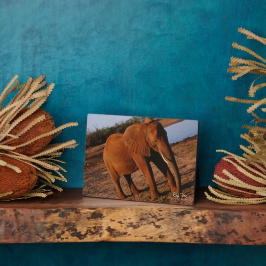 Big Red Fotoplaat (Zijkant)