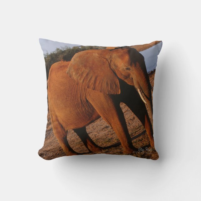 Big Red Kussen (Voorkant)