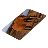 Big Red Magneet (Linkerzijde)