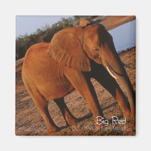 Big Red Magneet (Voorkant)