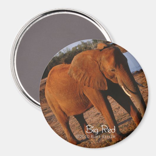 Big Red Magneet (Voorkant / Achterkant)