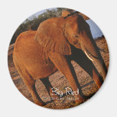 Big Red Magneet (Voorkant)