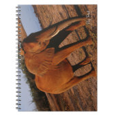 Big Red Notitieboek (Voorkant)