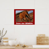 Big Red Photo Save Our Wildlife Poster (Cuisine)