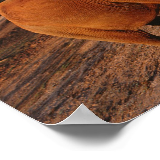 Big Red Poster (Hoek)