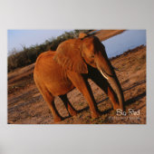 Big Red Poster (Voorkant)