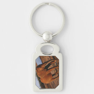 Big Red Sleutelhanger