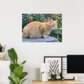 Big Red Tabby Poster (Thuiskantoor)