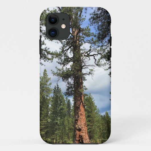 Big Red Tree, La Pine, OF Case-Mate iPhone Case (Achterkant)