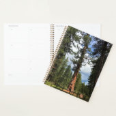 Big Red Tree, La Pine, OF Planner (Display)