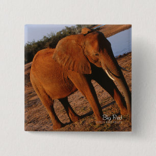 Big Red Vierkante Button 5,1 Cm