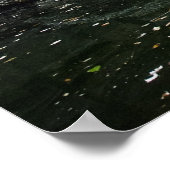 Big Rock 2010 Poster (Hoek)