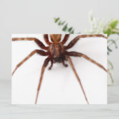 Big Scary Spider Kaart (Staand voorkant)