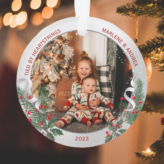 Big Sis 1er cadre classique Plante argent de Noël