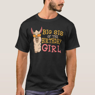 Big Sis van het meisje van de dag rond de nacht T-shirt
