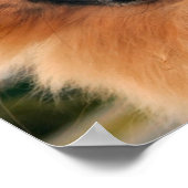 Big Smile Poster (Hoek)