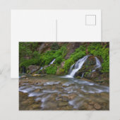 Big Springs Virgin | Nationaal Park Zion Briefkaart (Voorkant / Achterkant)