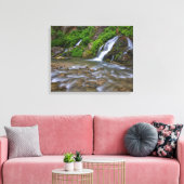Big Springs Virgin | Nationaal Park Zion Canvas Afdruk (Insitu (Woonkamer))