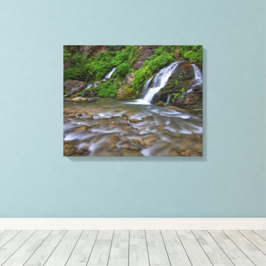 Big Springs Virgin | Nationaal Park Zion Canvas Afdruk (Insitu (Houten vloer))