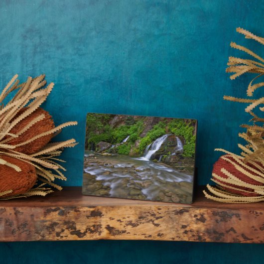 Big Springs Virgin | Nationaal Park Zion Fotoplaat (Zijkant)