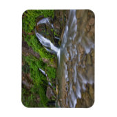 Big Springs Virgin | Nationaal Park Zion Magneet (Verticaal)