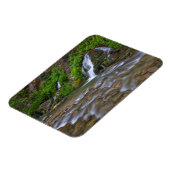 Big Springs Virgin | Nationaal Park Zion Magneet (Linkerzijde)