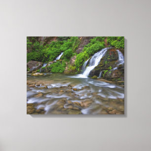 Big Springs Virgin River   Zion National Park Canvas Afdruk
