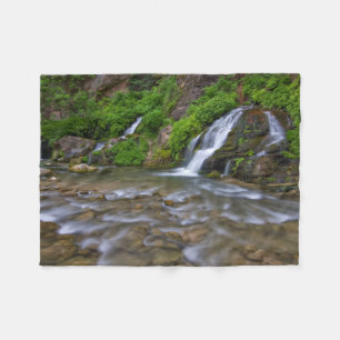 Big Springs Virgin River Zion National Park Fleece Deken