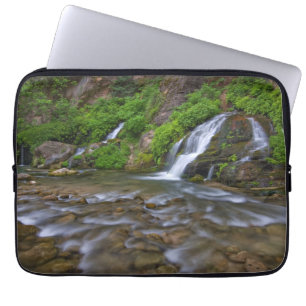 Big Springs Virgin River Zion National Park Laptop Sleeve