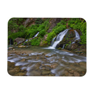 Big Springs Virgin River   Zion National Park Magneet
