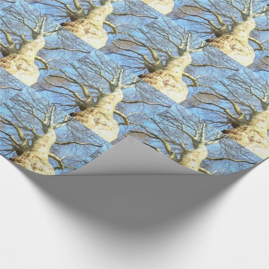 Big Sunny Tree Branches in Heavenly Blue Sky Cadeaupapier (Hoek)