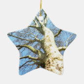 Big Sunny Tree Branches in Heavenly Blue Sky Keramisch Ornament (Voorkant)