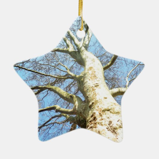 Big Sunny Tree Branches in Heavenly Blue Sky Keramisch Ornament (Achterkant)