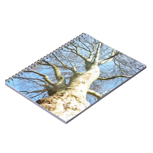 Big Sunny Tree Branches in Heavenly Blue Sky Notitieboek (Linkerzijde)