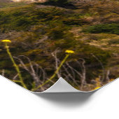 Big Sur Californië kust Poster (Hoek)