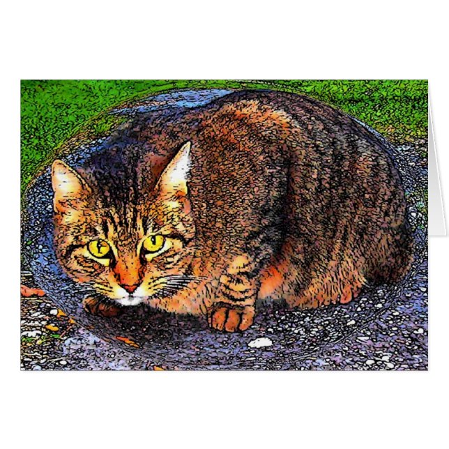 Big Tabby Cat (Voorkant Horizontaal)