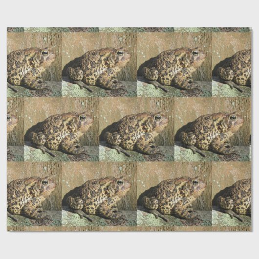 Big Toad Cadeaupapier (Vlak)
