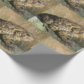 Big Toad Cadeaupapier (Hoek)