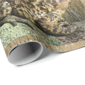 Big Toad Cadeaupapier (Rol Hoek)