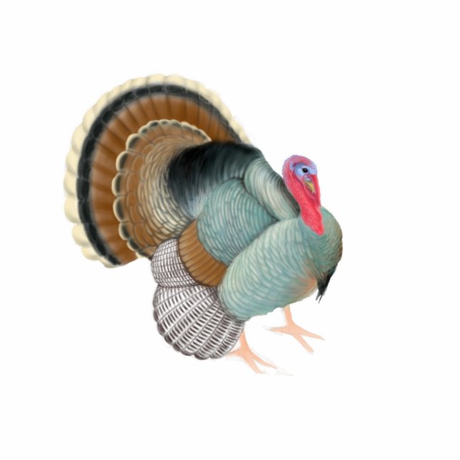 Big Tom Turkey Holiday Ornament Fotobeeldje Ornament (Voorkant)