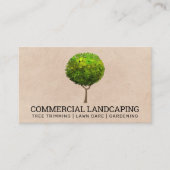 Big Tree-Logo | Landschapsbeheer Visitekaartje (Voorkant)