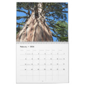 Big Trees van Californië Kalender (Feb 2026)