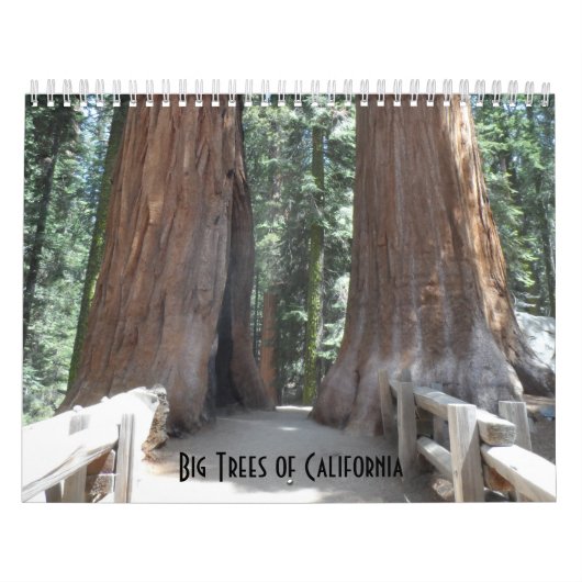 Big Trees van Californië Kalender (Hoes)
