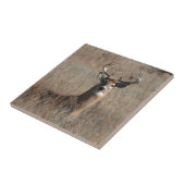 Big Trophy Buck Deer in Tall Grass Camo Tegeltje (Zijkant)
