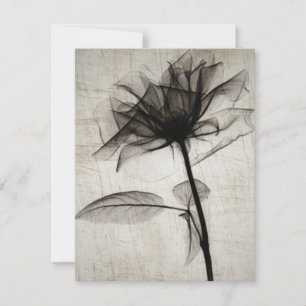 Big Vintage X-Ray Flower Notitiekaartje
