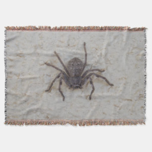 Big Vrouw Huntsman Spider Deken