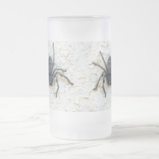 Big Vrouw Huntsman Spider Matglas Bierpul (Center)