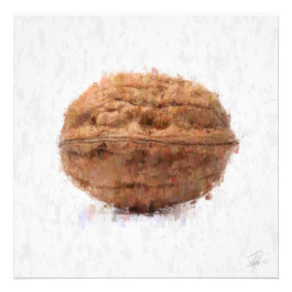 Big Walnut Foto Afdruk