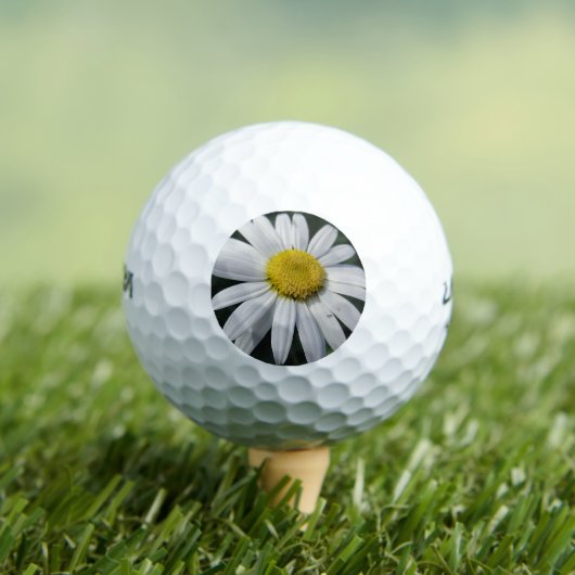 Big White Daisy Golfballen (Insitu Shirt)